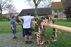 Maibaum Aufstellen